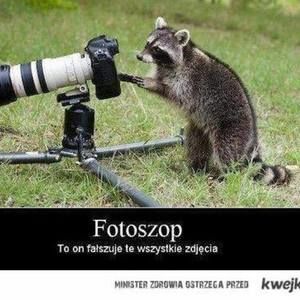 Meet your Posher, Dariusz